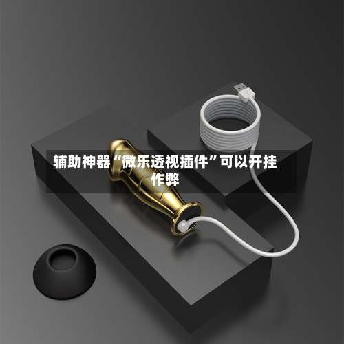 辅助神器“微乐透视插件”可以开挂作弊-第1张图片