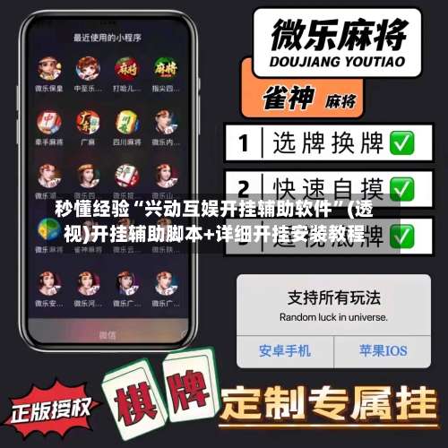 秒懂经验“兴动互娱开挂辅助软件”(透视)开挂辅助脚本+详细开挂安装教程-第1张图片