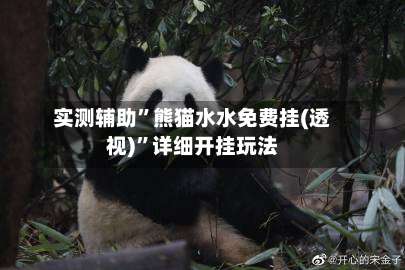 实测辅助”熊猫水水免费挂(透视)”详细开挂玩法-第1张图片