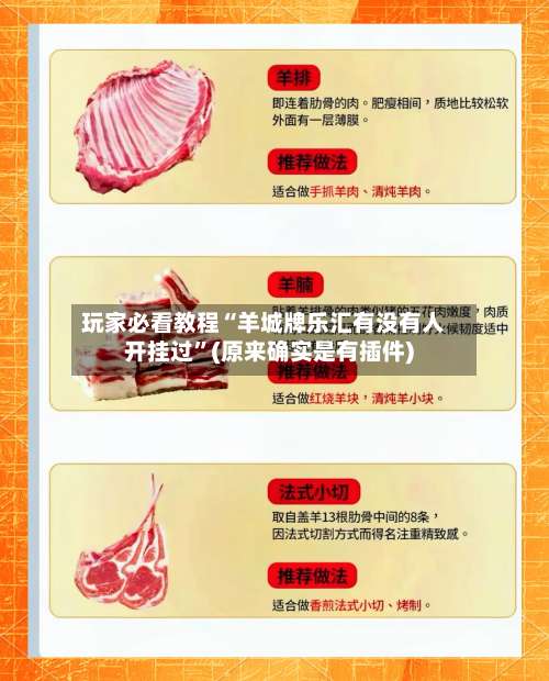 玩家必看教程“羊城牌乐汇有没有人开挂过”(原来确实是有插件)-第2张图片