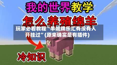 玩家必看教程“羊城牌乐汇有没有人开挂过”(原来确实是有插件)-第1张图片