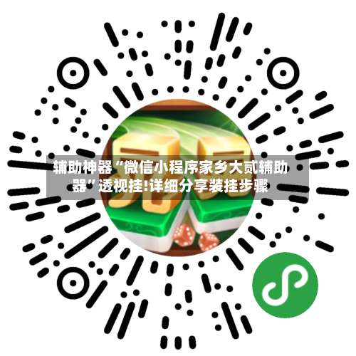 辅助神器“微信小程序家乡大贰辅助器”透视挂!详细分享装挂步骤-第3张图片