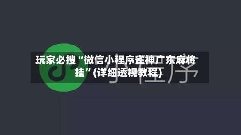 玩家必搜“微信小程序雀神广东麻将挂”(详细透视教程)-第2张图片