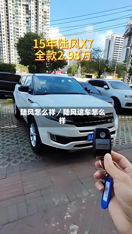 陆风怎么样／陆风这车怎么样-第2张图片