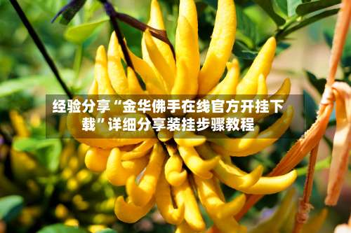 经验分享“金华佛手在线官方开挂下载”详细分享装挂步骤教程-第1张图片