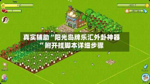 真实辅助“阳光岛牌乐汇外卦神器”附开挂脚本详细步骤-第2张图片