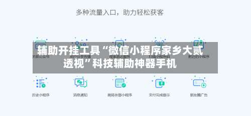 辅助开挂工具“微信小程序家乡大贰透视”科技辅助神器手机-第3张图片