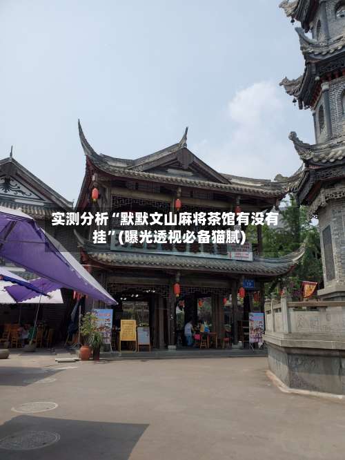 实测分析“默默文山麻将茶馆有没有挂	”(曝光透视必备猫腻)-第2张图片