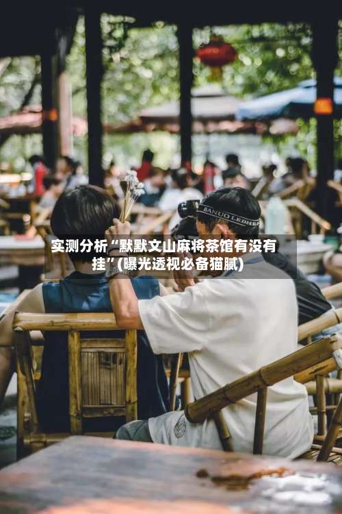 实测分析“默默文山麻将茶馆有没有挂”(曝光透视必备猫腻)-第1张图片