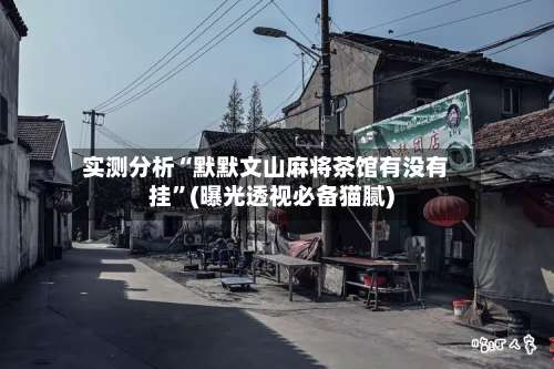 实测分析“默默文山麻将茶馆有没有挂”(曝光透视必备猫腻)-第3张图片