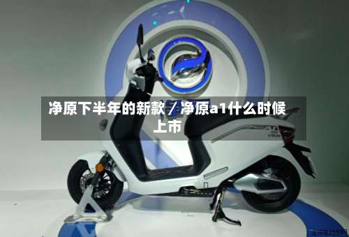 净原下半年的新款／净原a1什么时候上市-第1张图片