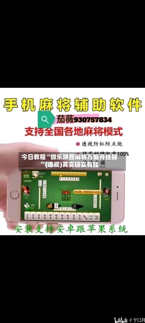 今日教程“微乐陕西麻将万能开挂器”(透视)其实确实有挂-第1张图片