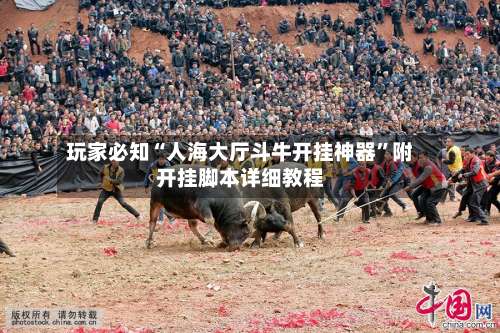 玩家必知“人海大厅斗牛开挂神器”附开挂脚本详细教程-第1张图片