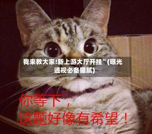 我来教大家!新上游大厅开挂”(曝光透视必备猫腻)-第1张图片