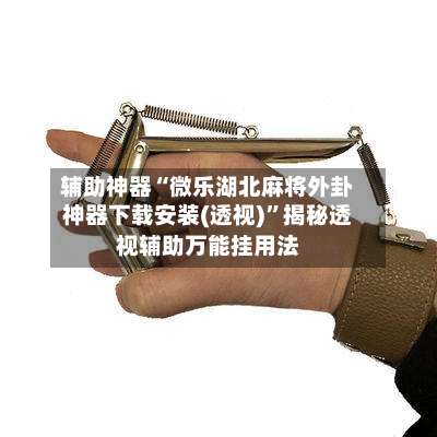 辅助神器“微乐湖北麻将外卦神器下载安装(透视)”揭秘透视辅助万能挂用法-第1张图片