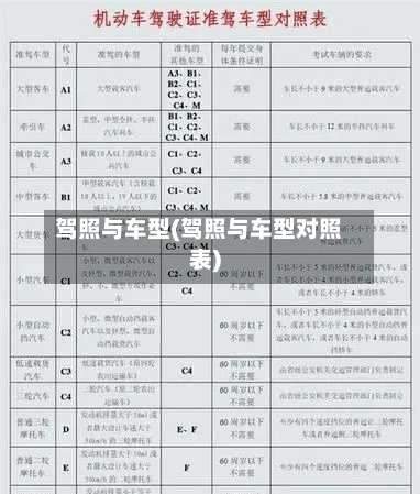 驾照与车型(驾照与车型对照表)-第1张图片