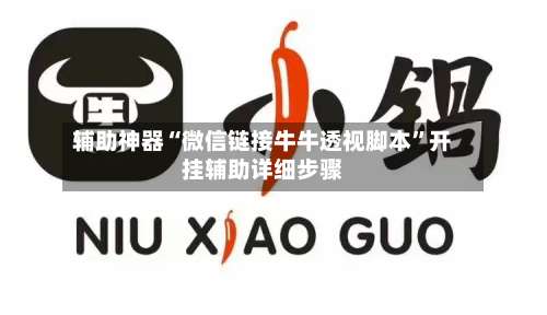 辅助神器“微信链接牛牛透视脚本	”开挂辅助详细步骤-第3张图片