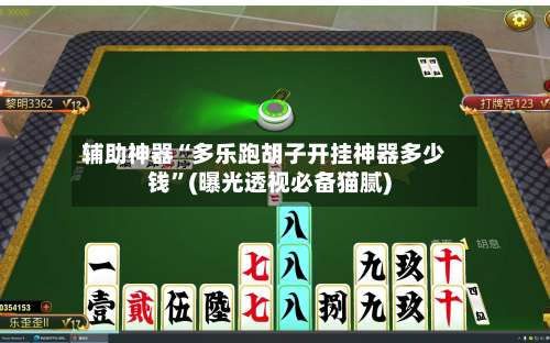 辅助神器“多乐跑胡子开挂神器多少钱	”(曝光透视必备猫腻)-第1张图片