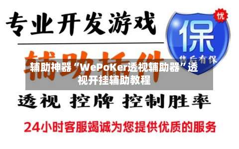辅助神器“WePoKer透视辅助器”透视开挂辅助教程-第3张图片