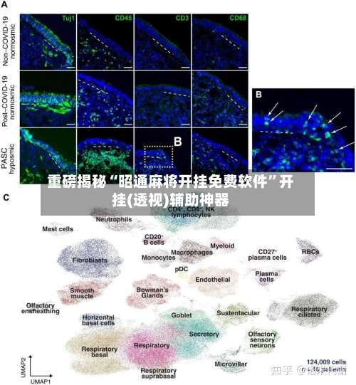 重磅揭秘“昭通麻将开挂免费软件”开挂(透视)辅助神器-第2张图片