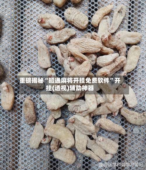 重磅揭秘“昭通麻将开挂免费软件	”开挂(透视)辅助神器-第1张图片