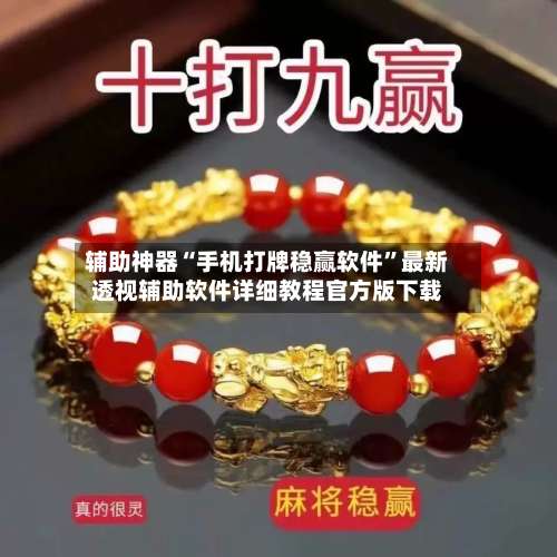 辅助神器“手机打牌稳赢软件	”最新透视辅助软件详细教程官方版下载-第2张图片