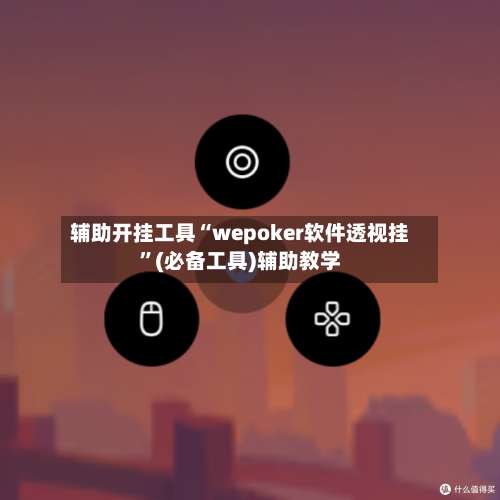 辅助开挂工具“wepoker软件透视挂”(必备工具)辅助教学-第3张图片