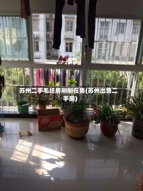 苏州二手毛坯房刚刚在售(苏州出售二手房)-第2张图片