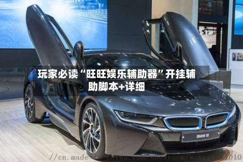 玩家必读“旺旺娱乐辅助器”开挂辅助脚本+详细-第1张图片