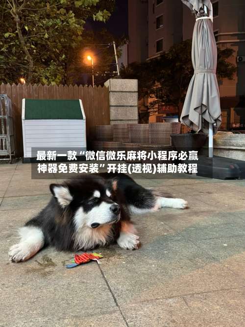 最新一款“微信微乐麻将小程序必赢神器免费安装”开挂(透视)辅助教程-第2张图片