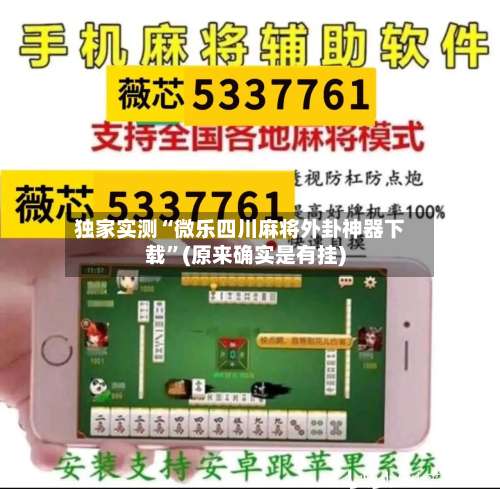 独家实测“微乐四川麻将外卦神器下载”(原来确实是有挂)-第2张图片