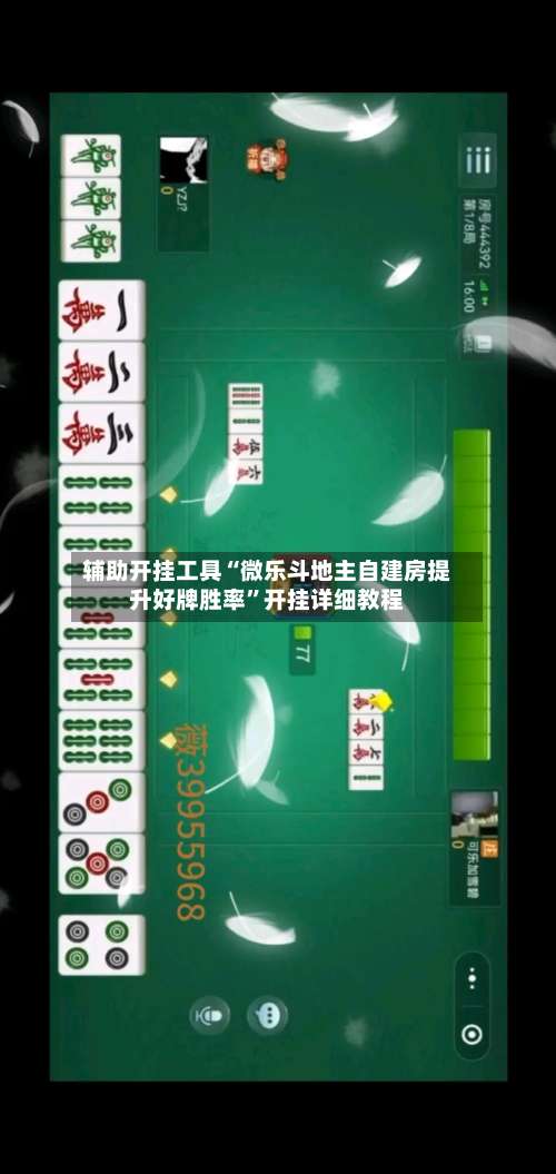 辅助开挂工具“微乐斗地主自建房提升好牌胜率”开挂详细教程-第3张图片