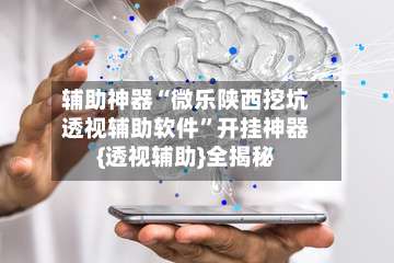 辅助神器“微乐陕西挖坑透视辅助软件”开挂神器{透视辅助}全揭秘-第1张图片