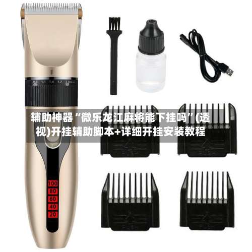 辅助神器“微乐龙江麻将能下挂吗”(透视)开挂辅助脚本+详细开挂安装教程-第3张图片