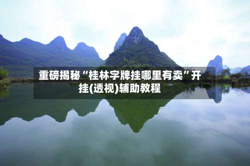 重磅揭秘“桂林字牌挂哪里有卖	”开挂(透视)辅助教程-第1张图片