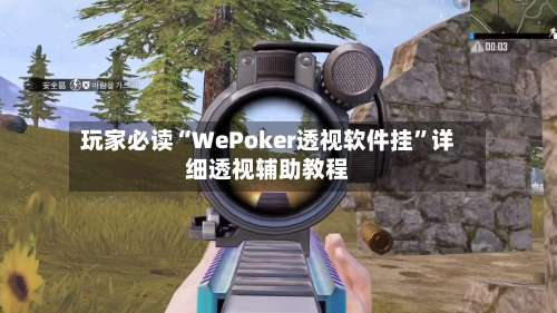 玩家必读“WePoker透视软件挂”详细透视辅助教程-第1张图片