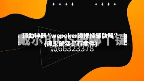 辅助神器“wepoker透视挂辅助器”(原来确实是有插件)-第1张图片