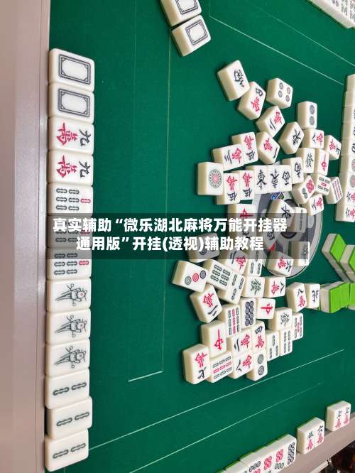 真实辅助“微乐湖北麻将万能开挂器通用版”开挂(透视)辅助教程-第3张图片