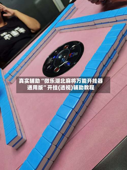 真实辅助“微乐湖北麻将万能开挂器通用版”开挂(透视)辅助教程-第2张图片