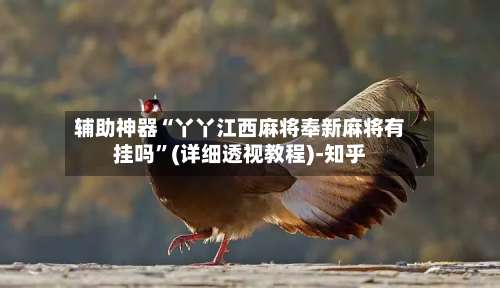 辅助神器“丫丫江西麻将奉新麻将有挂吗”(详细透视教程)-知乎-第3张图片