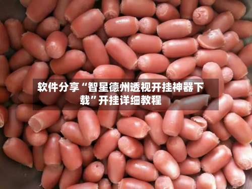 软件分享“智星德州透视开挂神器下载”开挂详细教程-第3张图片