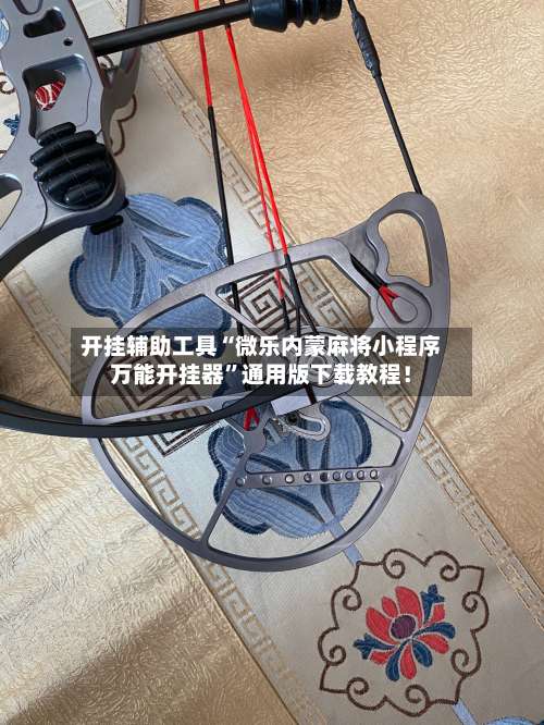 开挂辅助工具“微乐内蒙麻将小程序万能开挂器”通用版下载教程！-第2张图片