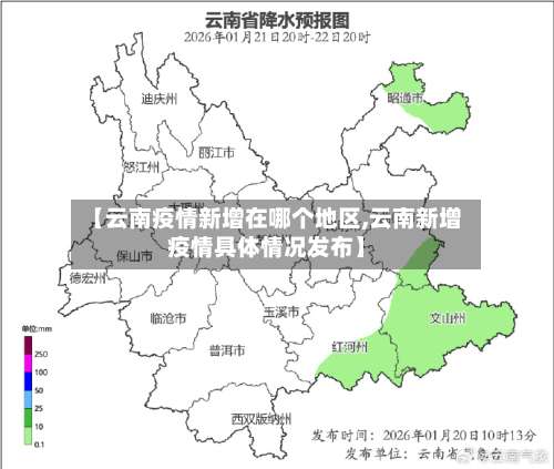 【云南疫情新增在哪个地区,云南新增疫情具体情况发布】-第2张图片