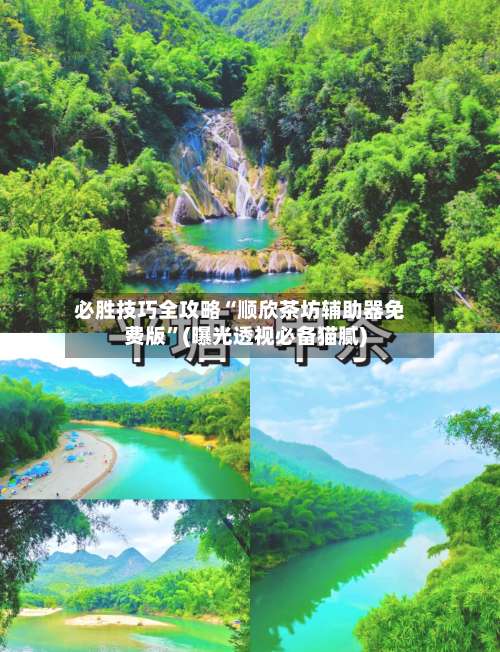 必胜技巧全攻略“顺欣茶坊辅助器免费版	”(曝光透视必备猫腻)-第1张图片