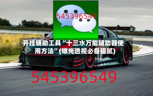 开挂辅助工具“十三水万能辅助器使用方法	”(曝光透视必备猫腻)-第2张图片