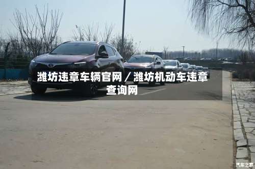 潍坊违章车辆官网／潍坊机动车违章查询网-第1张图片