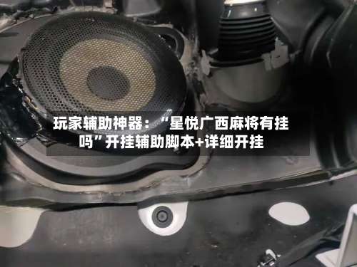 玩家辅助神器：“星悦广西麻将有挂吗	”开挂辅助脚本+详细开挂-第3张图片