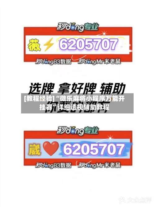 [教程经验]“微乐麻将小程序万能开挂器”详细透视辅助教程-第3张图片
