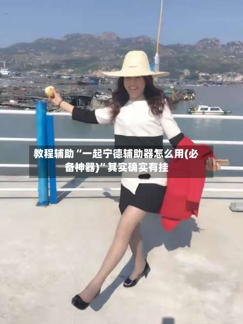 教程辅助“一起宁德辅助器怎么用(必备神器)”其实确实有挂-第2张图片