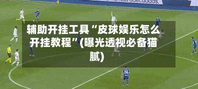 辅助开挂工具“皮球娱乐怎么开挂教程”(曝光透视必备猫腻)-第1张图片